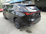 Used 2022 Lexus NX 350 AWD image 6