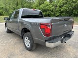 New 2025 Ford F150 XL w/ Equipment Group 103A High image 5