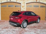 New 2025 Ford Escape Active w/ Tech Pack #1 image 4