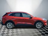 Used 2020 Ford Escape SE image 2