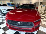 Used 2024 Ford Mustang Coupe image 2