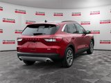 Used 2020 Ford Escape SEL image 5