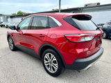 Used 2021 Ford Escape SEL image 4
