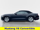 Certified 2017 Ford Mustang Convertible image 3