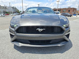Used 2019 Ford Mustang Premium image 2
