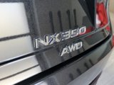 Used 2023 Lexus NX 350 AWD w/ Premium Package image 5