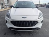 Used 2022 Ford Escape SE w/ Convenience Package image 2