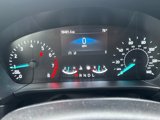 Used 2021 Ford Escape SE w/ SE Sport Appearance Package image 4