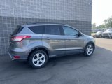 Used 2014 Ford Escape SE w/ Equipment Group 201A image 4