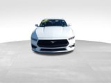 Used 2024 Ford Mustang Coupe image 2