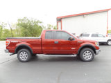 Used 2014 Ford F150 XLT w/ Equipment Group 302A Luxury image 6
