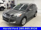 Used 2016 Ford Escape Titanium image 3