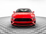 Used 2019 Ford Mustang GT Premium w/ Equipment Group 401A image 2