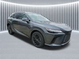New 2025 Lexus RX 350 Premium image 3