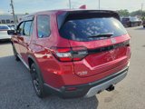 Certified 2025 Honda Pilot EX-L image 6