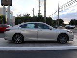 Used 2024 Lexus ES 300h w/ Premium Package image 4