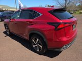 Certified 2021 Lexus NX 300h AWD w/ Accessory Package image 5