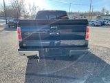 Used 2013 Ford F150 XLT w/ Luxury Equipment Group image 6