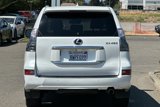 Used 2021 Lexus GX 460 Premium image 5