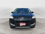 Used 2014 Ford Escape Titanium image 3