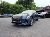 Used 2021 Audi e-tron Premium Plus w/ Premium Plus Package image 2