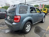 Used 2010 Ford Escape XLT image 6