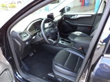 Used 2021 Ford Escape SEL image 2