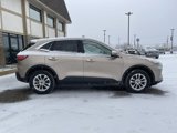 Used 2020 Ford Escape SE image 4
