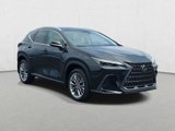 New 2025 Lexus NX 350 AWD w/ Accessory Package (2T) image 3