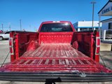 Used 2009 Ford F150 XLT image 5