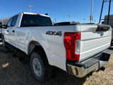 Used 2019 Ford F250 XLT image 3