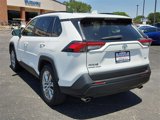 Used 2019 Toyota RAV4 XLE Premium image 3
