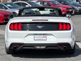 Used 2022 Ford Mustang Premium image 4