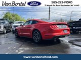 Certified 2020 Ford Mustang Premium w/ Equipment Group 201A image 3