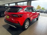Used 2024 Ford Escape Active w/ Tech Pack #1 image 4