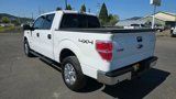 Used 2014 Ford F150 XLT w/ Equipment Group 302A Luxury image 6