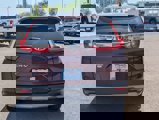 Used 2017 Honda CR-V EX-L image 5