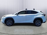 Used 2017 Lexus NX 200t F Sport image 4