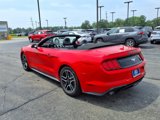 Used 2023 Ford Mustang Premium image 5