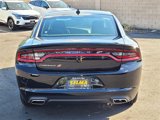 New 2023 Dodge Charger SXT w/ Blacktop Special Edition image 5