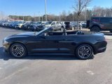 Used 2022 Ford Mustang Premium image 5