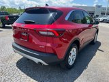 Used 2023 Ford Escape Active w/ Tech Pack #1 image 5