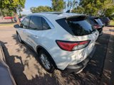 Used 2020 Ford Escape SE image 5
