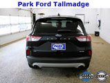 Used 2020 Ford Escape SE image 4
