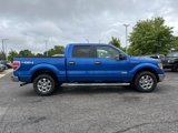 Used 2013 Ford F150 XLT w/ Luxury Equipment Group image 3