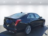 New 2025 Cadillac CT4 Premium Luxury image 5