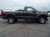 New 2025 Ford F350 XLT image 5