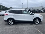 Used 2014 Ford Escape SE image 6