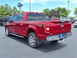 Used 2019 Ford F150 XLT w/ Equipment Group 302A Luxury image 3