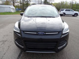 Used 2014 Ford Escape SE image 3